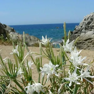 Casa vacanze Giglio Di Mare